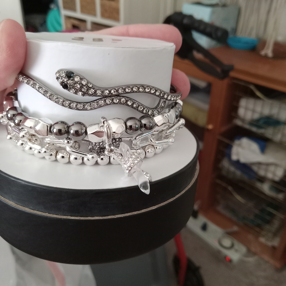 Elegant Silver Snake Bracelet Set